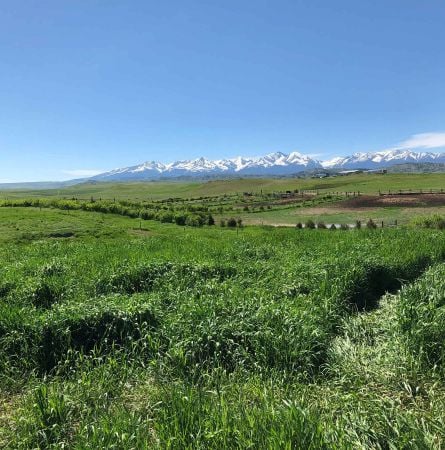 Yellowstone Hot Spot