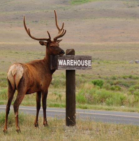 Outside The Window: Office Views In Yellowstone