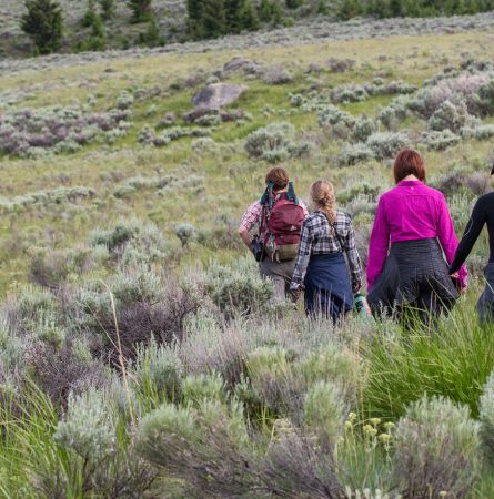 Yellowstone Social