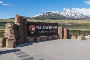 North Entrance sign spring 2018