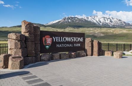 North Entrance sign spring 2018