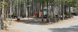 Canyon Campground site