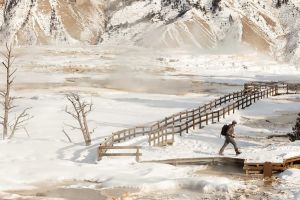 Overlooking the boardwalks near Canary Spring during winter