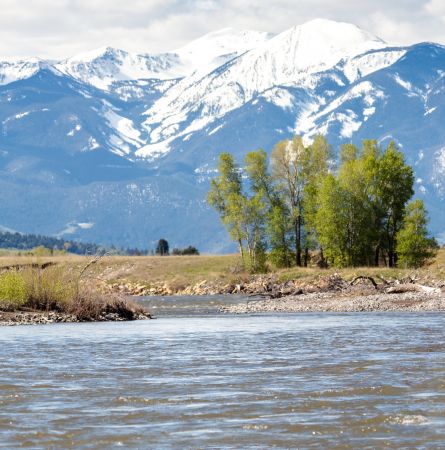 Yellowstone Social