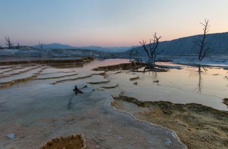 Dawn at Mammoth Hot Springs