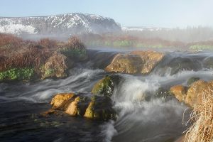 Terrace Spring runoff