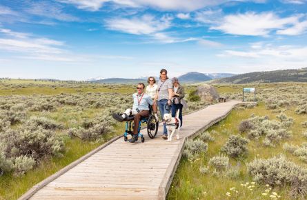 Exploring the Forces of the Northern Range boardwalk