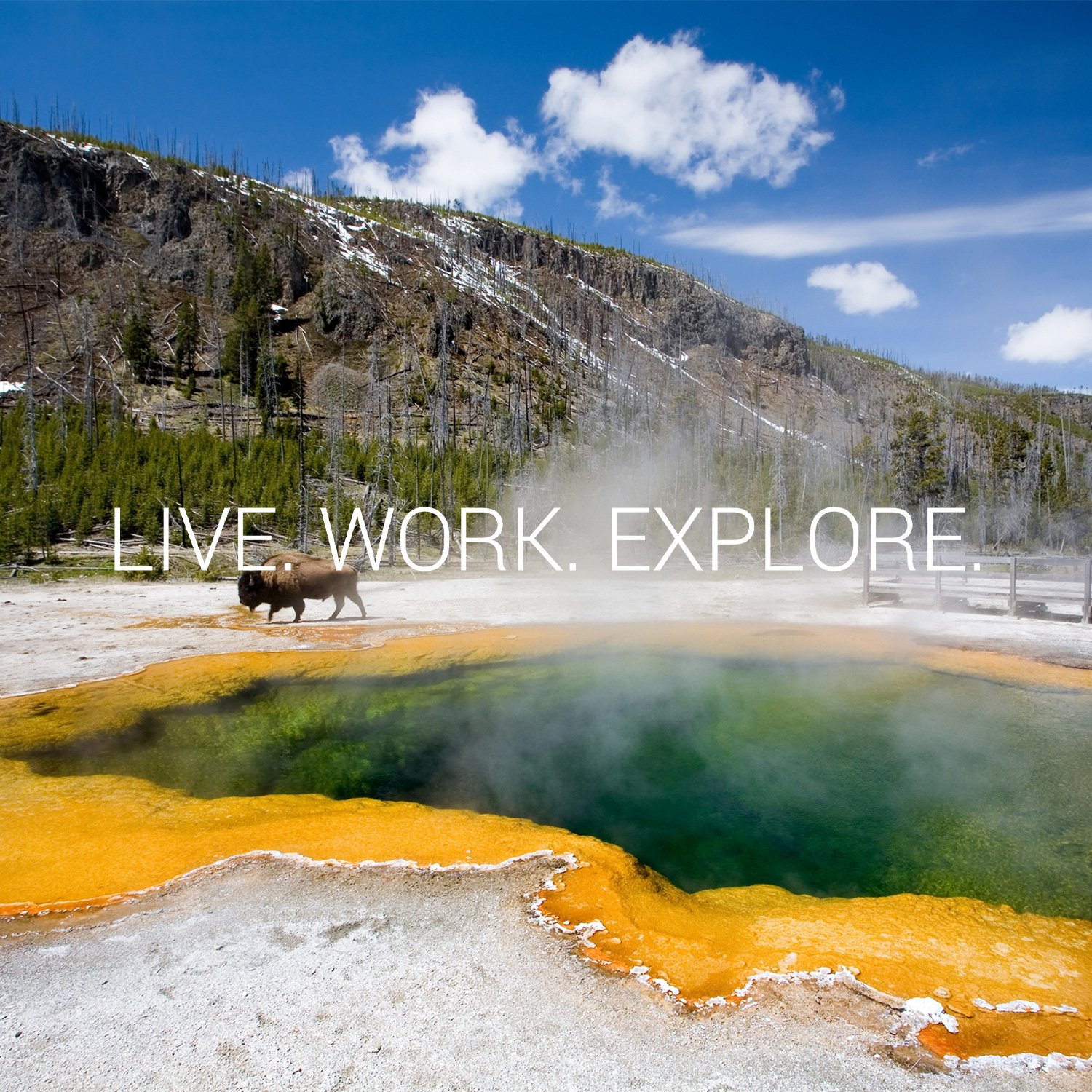 https://www.yellowstonenationalparklodges.com/content/uploads/2022/12/Xanterra_SM_SquareImages-bison.jpg