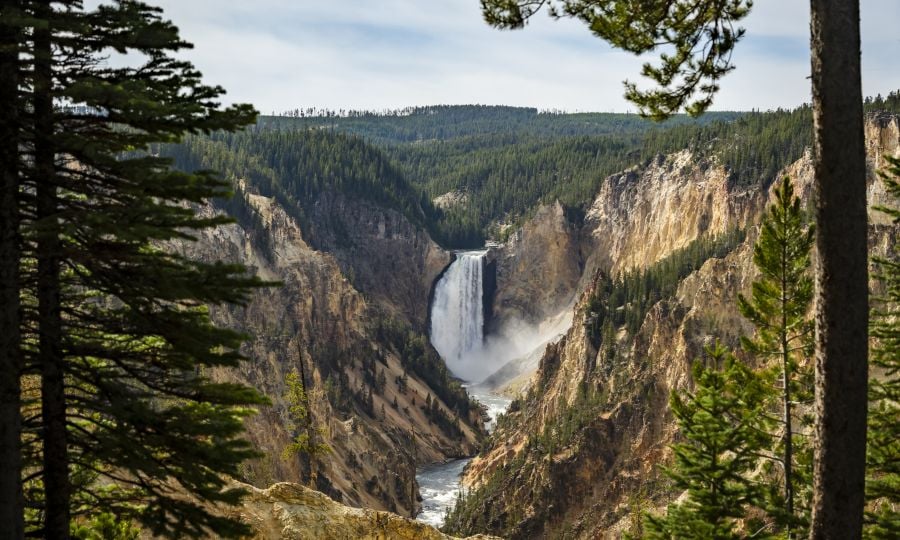 Lower Falls Grand Canyon of the Yellowstone