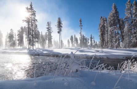 12 Weird And Wonderful Things To See in Winter