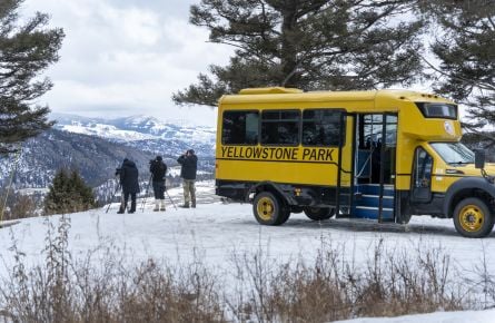 Guests watching for wildlife in winter at Hellroaring Overlook