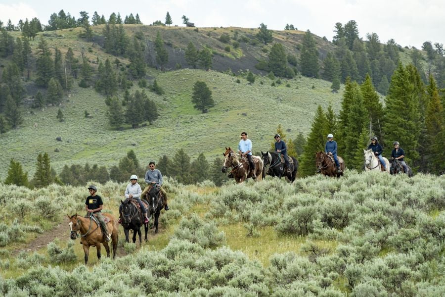 Horseback riding tour walking through sagebrush