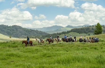 Horseback riding tour in a valley with mountains