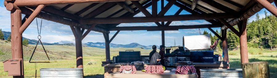 Roosevelt cookout buffet pavilion