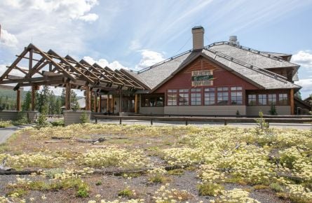 Old Faithful Snow Lodge & Cabins