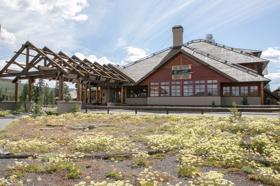 Old Faithful Snow Lodge & Cabins