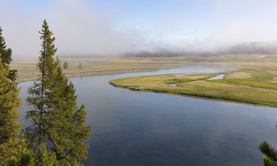 Fog burning off in Hayden Valley