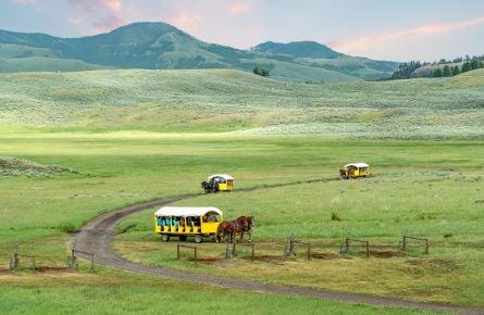 Horse drawn wagons in Pleasant Valley