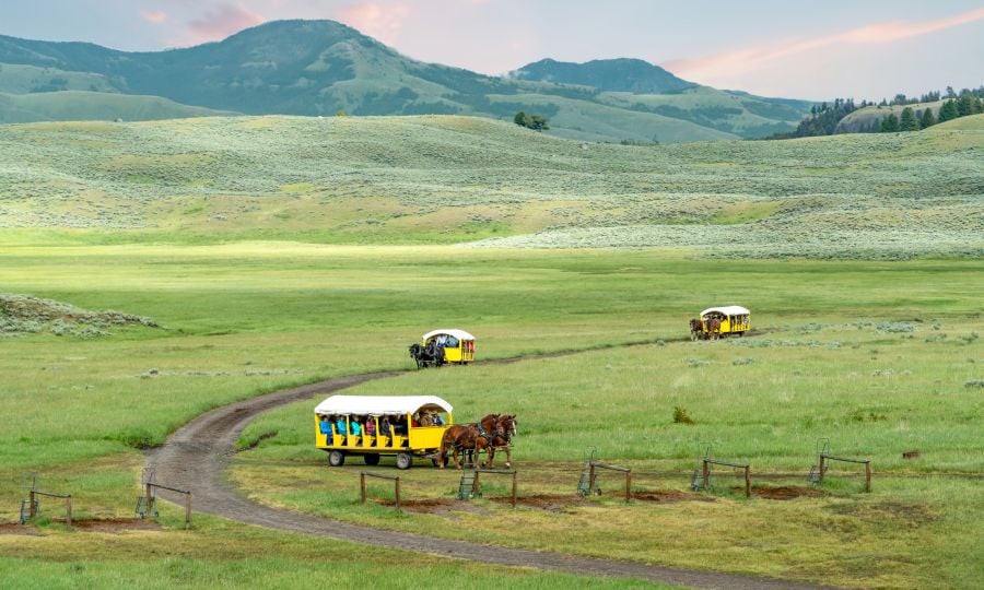 Horse drawn wagons in Pleasant Valley