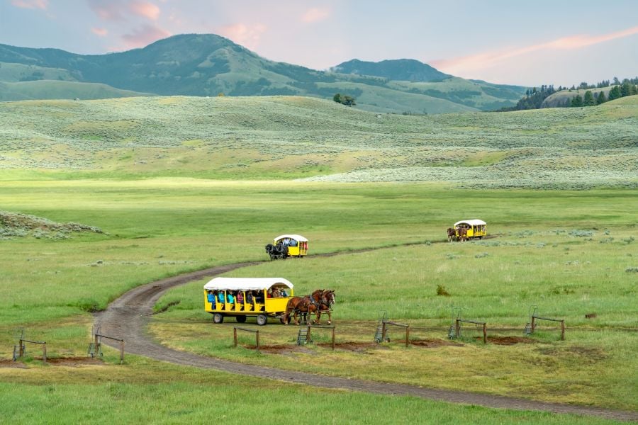 Horse drawn wagons in Pleasant Valley