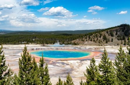 View of Grand Prismatic Spring from overlook